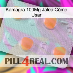 Kamagra 100Mg Jalea Cómo Usar 24